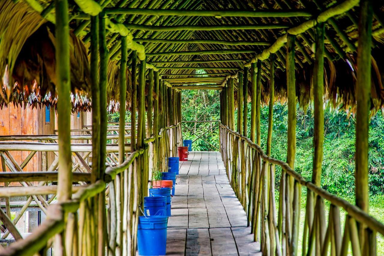 Amazon Muyuna Lodge Paraíso 외부 사진