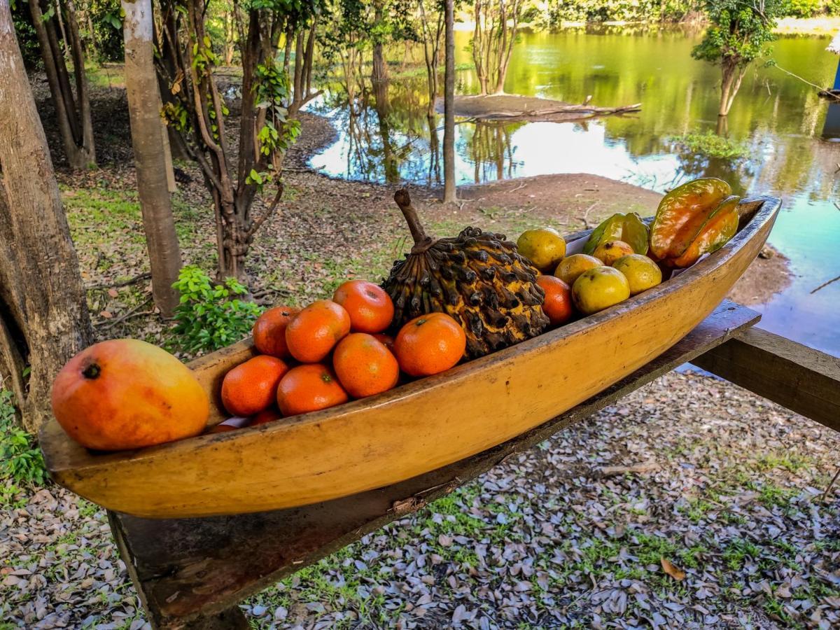 Amazon Muyuna Lodge Paraíso 외부 사진