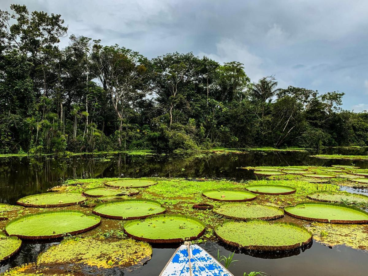 Amazon Muyuna Lodge Paraíso 외부 사진
